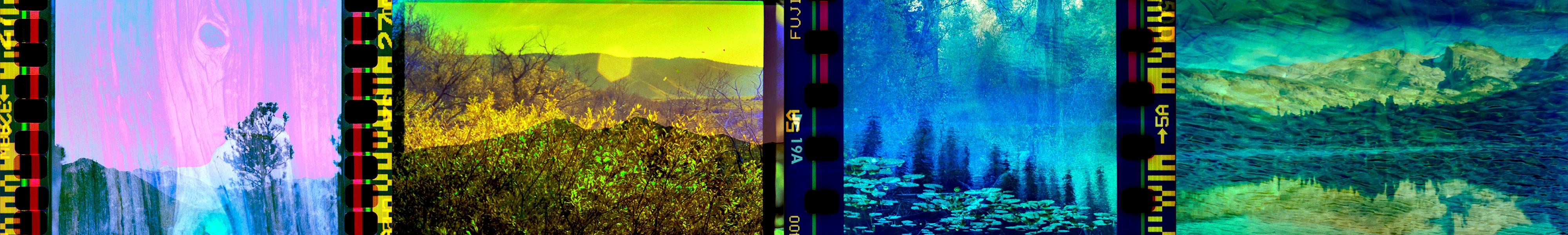 2xExposed-Analog Vol2 banner